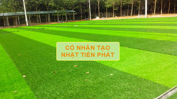 Sân bóng cỏ nhân tạo Thảo Như - Cỏ Nhân Tạo Soladecor - Công Ty TNHH Đầu Tư Và Thương Mại Soladecor